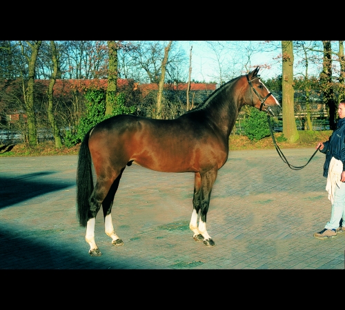 Balou Du Rouet photo 2