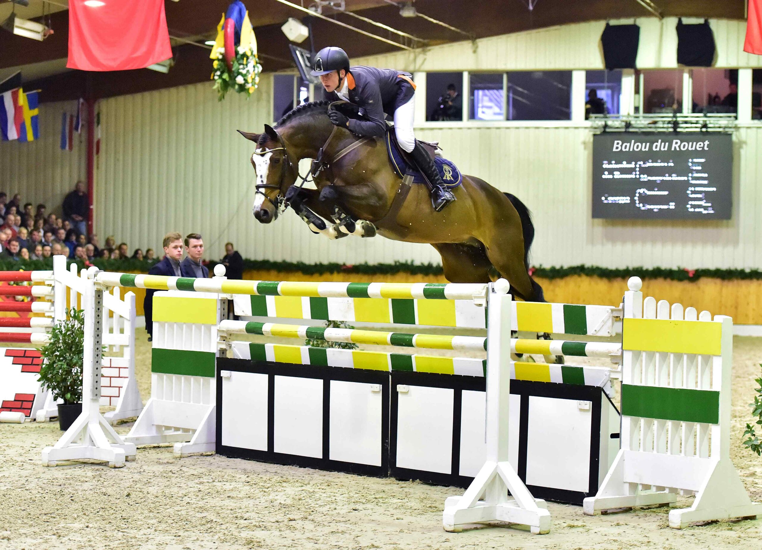 Balou Du Rouet photo 7