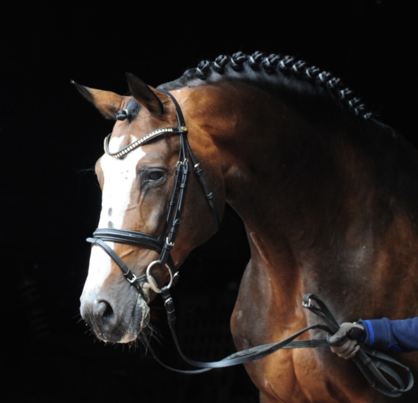 Balou Du Rouet photo 6