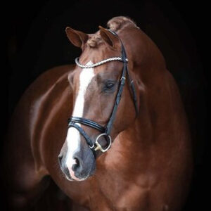 Coeur Rouge photo 9