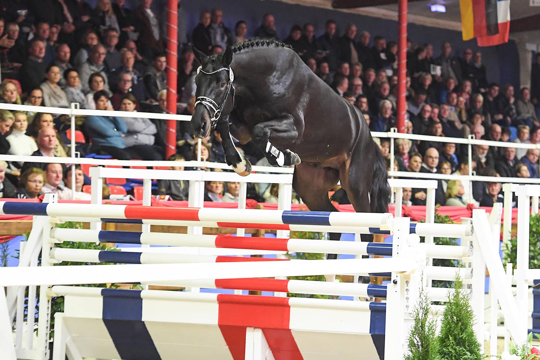 Cornet de Semilly