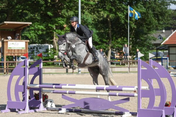 Covalliero photo 5