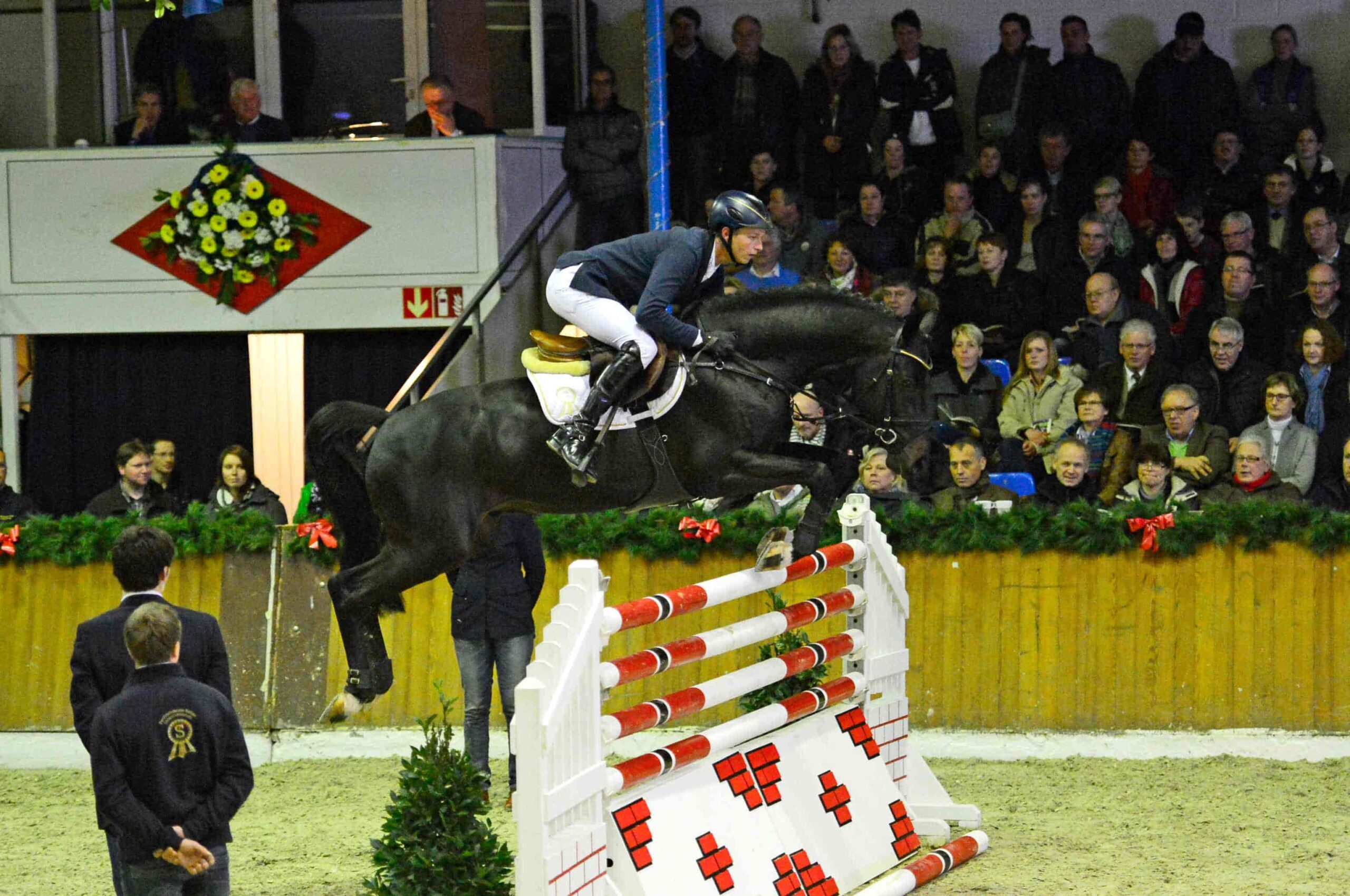 Diarado photo 7
