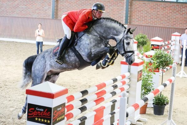 Hickstead White photo 5