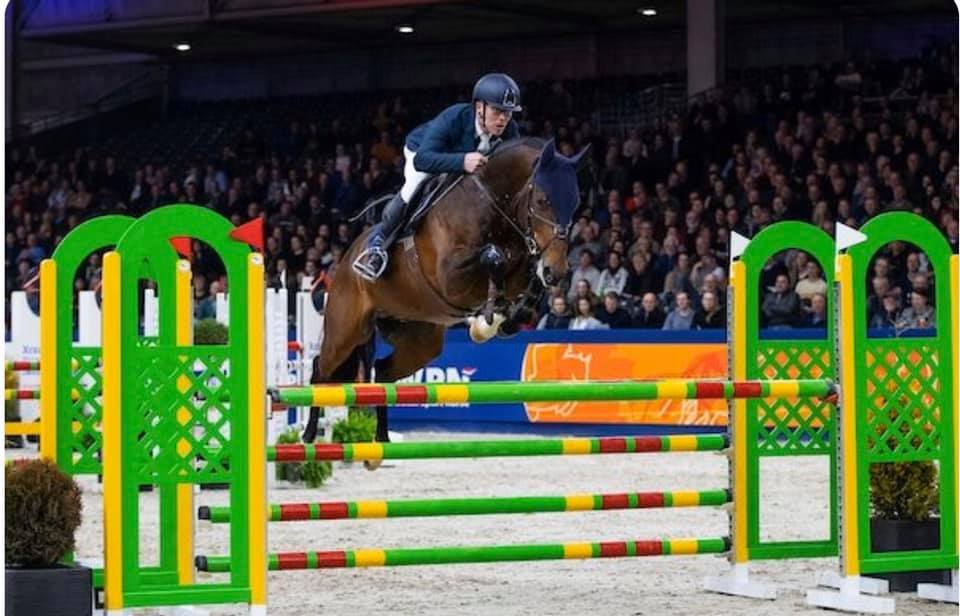 Je Suis Equus Tame photo 3