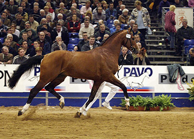 Lupicor photo 5