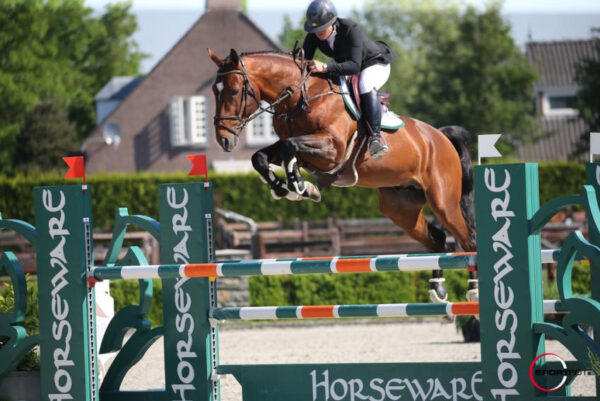 Mosito van het Hellehof photo 4