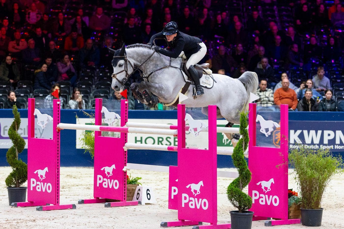 Mr Cornet De Regor photo 3