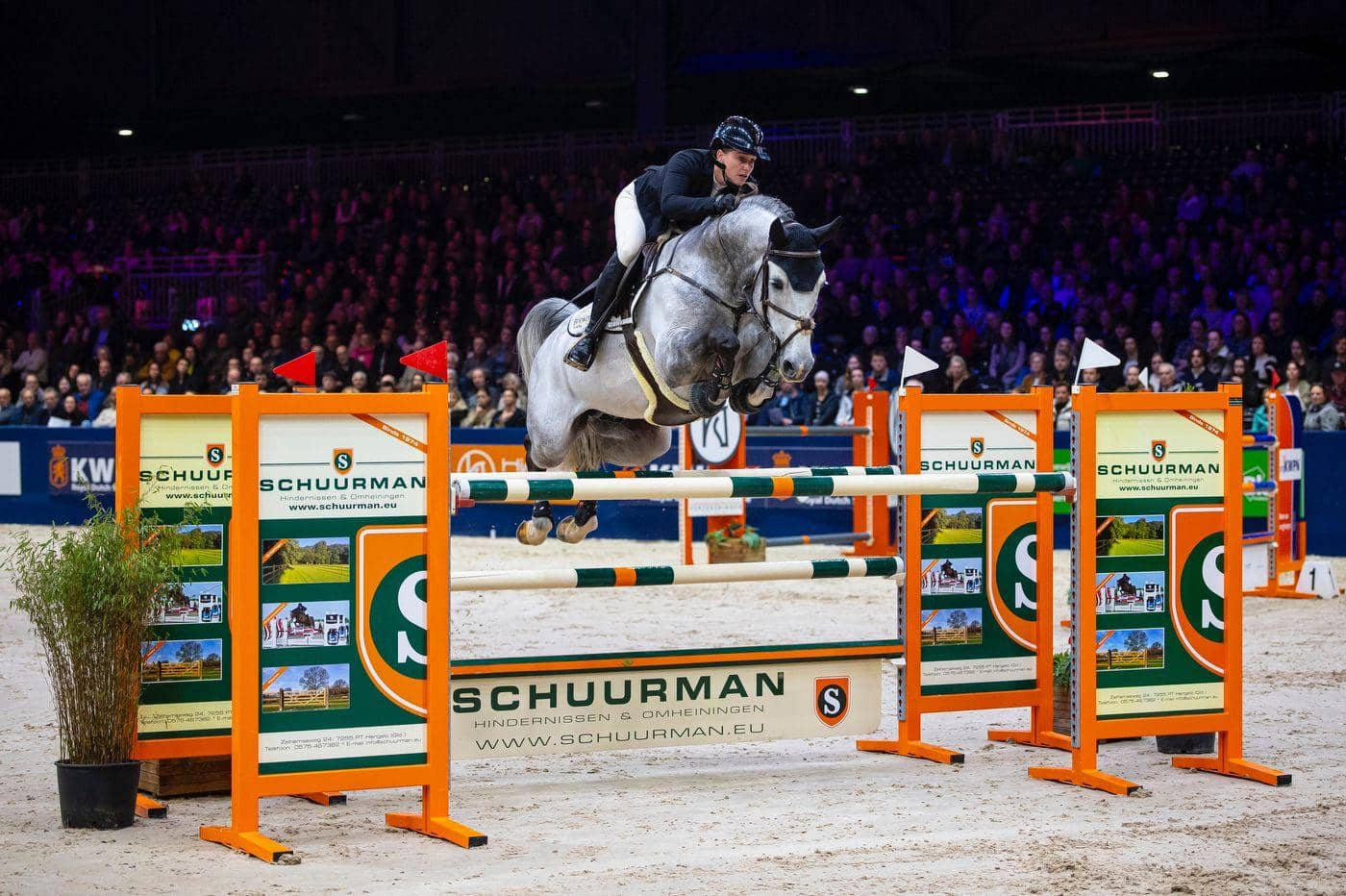 Mr Cornet De Regor photo 2