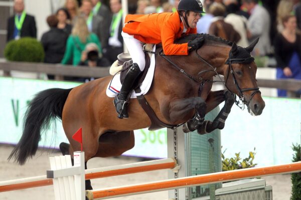Verdi TN photo 2