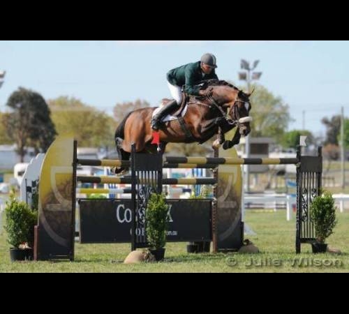 Vivant van de Heffinck photo 3