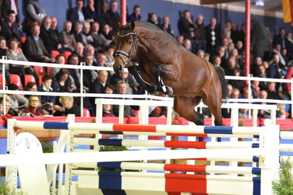 Zinedream photo 4