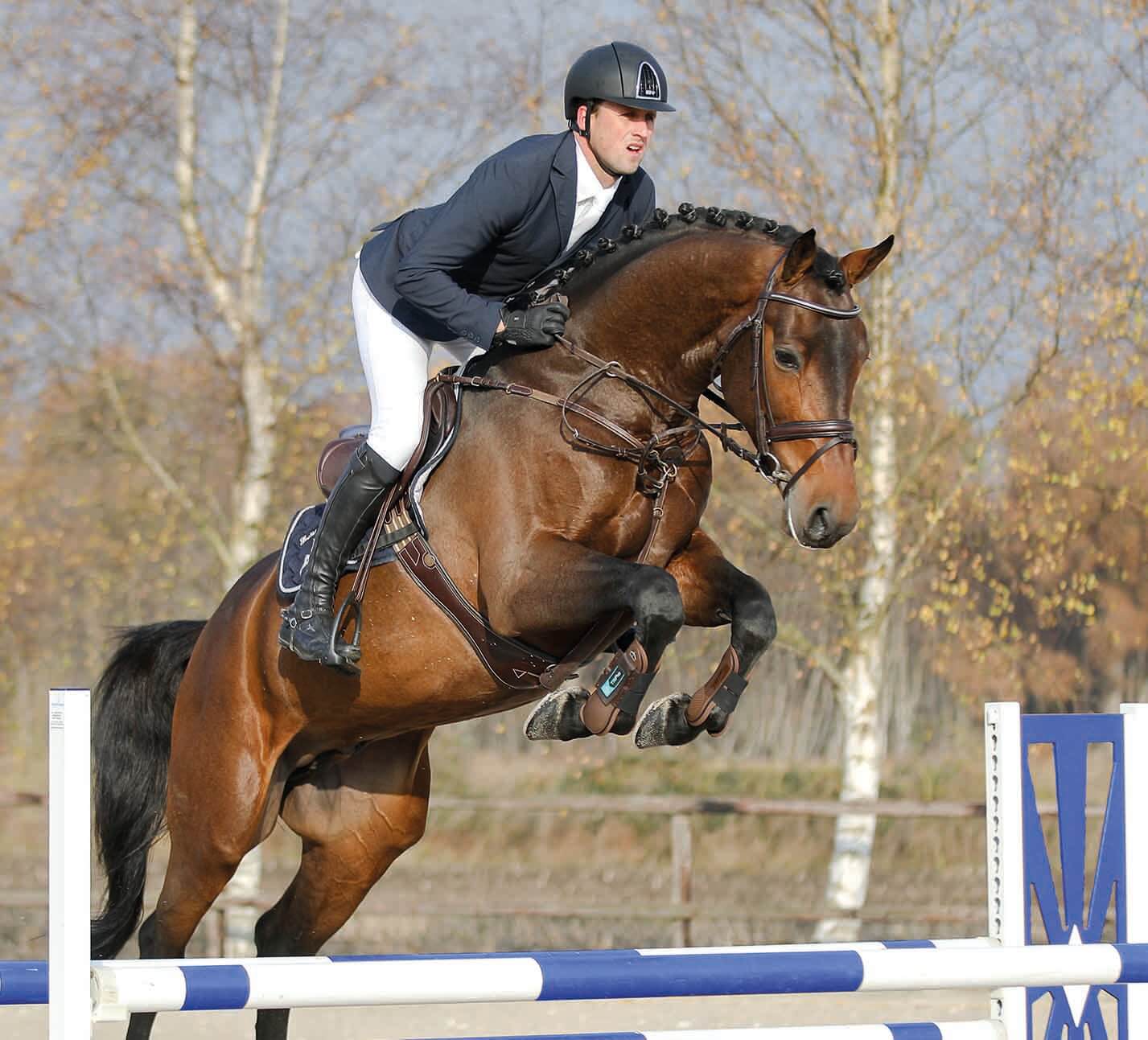 Zinedream photo 5