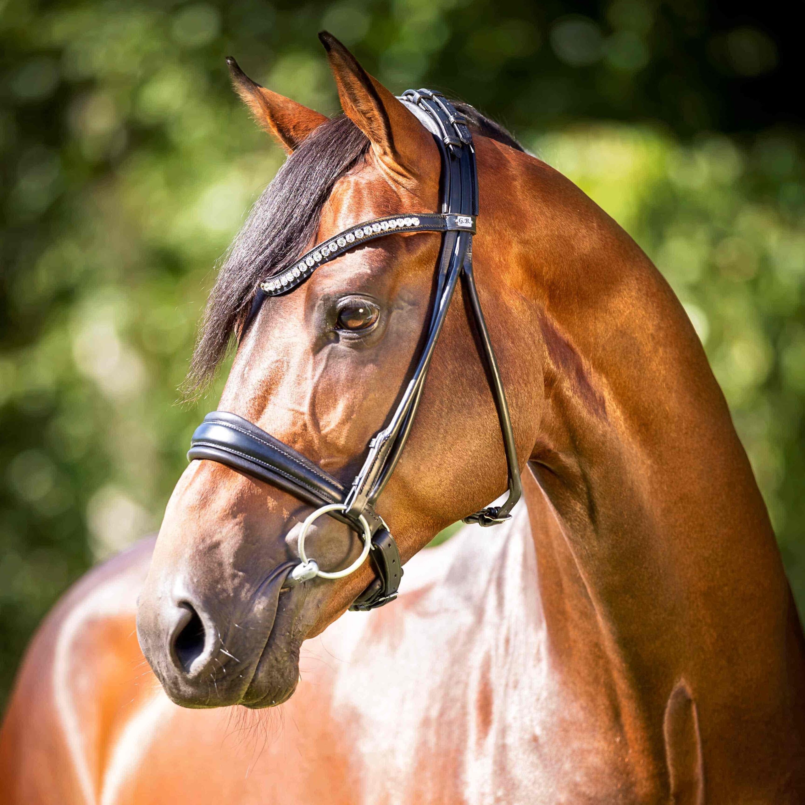 Zinedream photo 9